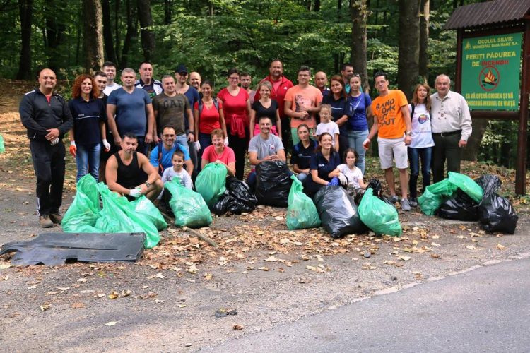 SUTE DE MARAMUREȘENI LA ACȚIUNEA DE ECOLOGIZARE LET’S DO IT, ROMANIA