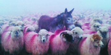 De ce s-a ajuns aici