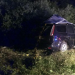 Accident între Nireș și Mănăstirea după ce a lovit cu maşina un cal lăsat nesupravegheat