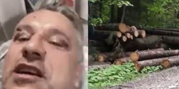 Încă un eșec al statului român. Tăierile ilegale de păduri fac noi victime. Scrisoare deschisă transmisă ministrului de Interne și șefului Poliției Române