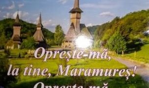 Programul Taberei literare „Opreşte-mă, la tine, Maramureş! Opreşte-mă în tine, anotimp!” – Baia Sprie