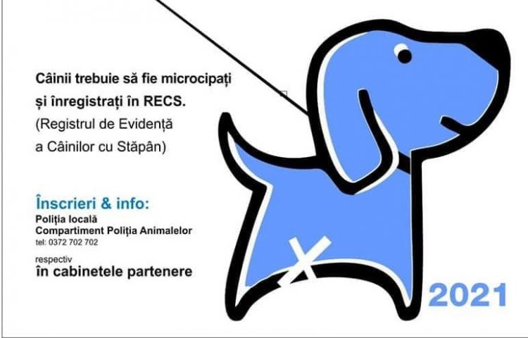 Subvenţii pentru sterilizarea câinilor din Baia Mare