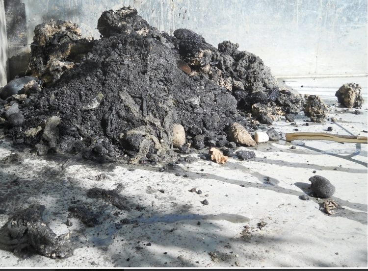 Anunţ Vital. Canalizarea NU e coșul de gunoi!