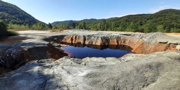 Acțiuni de ecologizare în județ