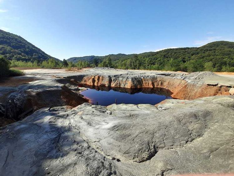 Acțiuni de ecologizare în județ