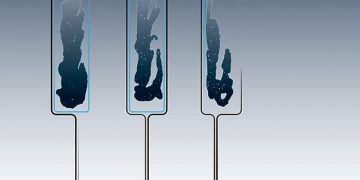 Festivalul Internațional Paint Jazz Colony, la Colonia Pictorilor din Baia Mare