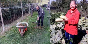 Asociația ASSOC din Baia Mare: „Agricultura este o formă de terapie aparte”