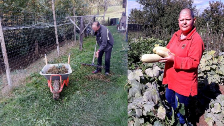 Asociația ASSOC din Baia Mare: „Agricultura este o formă de terapie aparte”