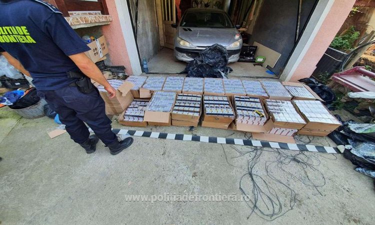 Percheziție la Rona de Sus și acțiuni ,,în forță” în urma cărora s-au confiscat aproximativ 19.000 pachete țigări