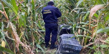 Focuri de armă, ţigări abandonate în lanul de porumb la Remeţi, maşină icsită cu ţigări găsită la Vişeu de Sus