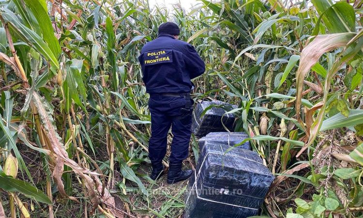 Focuri de armă, ţigări abandonate în lanul de porumb la Remeţi, maşină icsită cu ţigări găsită la Vişeu de Sus