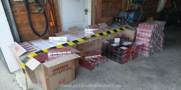 Percheziţii domiciliare. În ultimele 24 de ore, au fost confiscate aproape 14.000 pachete țigări provenite din contrabandă