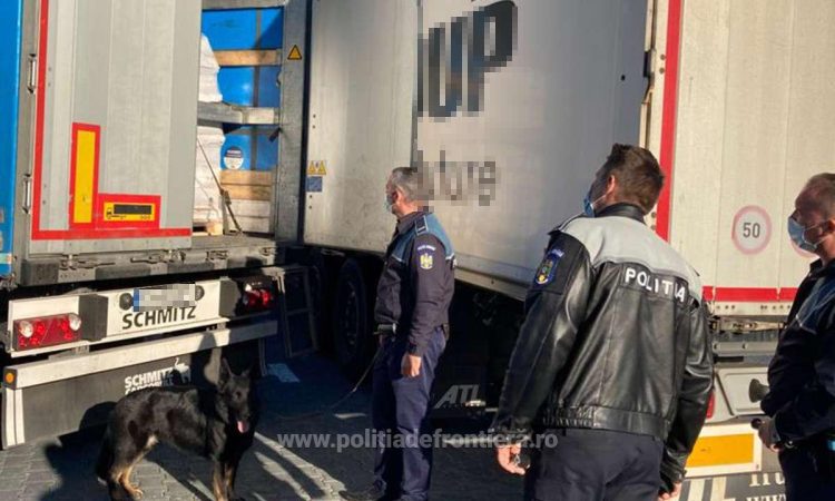 Peste 70 de cetățeni străini depistați în urma unei acțiuni pentru prevenirea migraţiei ilegale