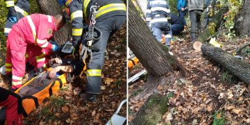Bărbat rănit după ce un copac a căzut peste el la Tăuţii de Sus – FOTO