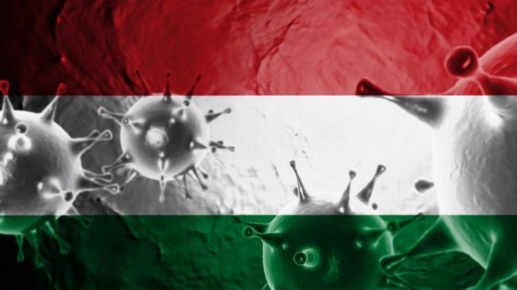 20 de spitale din România primesc 40 de ventilatoare, 1.650 măşti de ventilaţie noninvazivă şi 3.000 de cutii de Favipiravir  din partea Ungariei