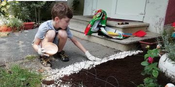 Asociația Autism Baia Mare organizează ateliere de creație și grădinărit