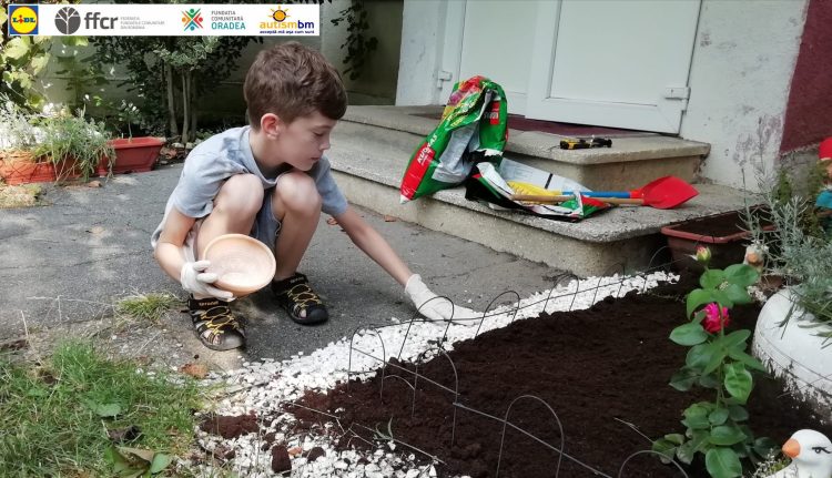 Asociația Autism Baia Mare organizează ateliere de creație și grădinărit