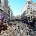 Turme de oi au vizitat astăzi capitala Spaniei!