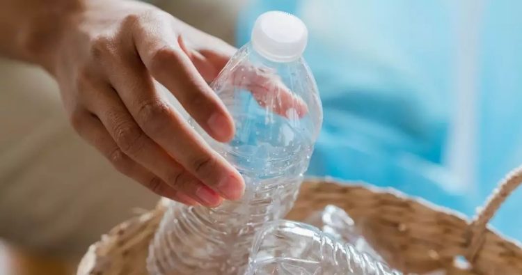 În perioada 9-15 octombrie, maramureșenii pot cumpăra fructe și legume românești plătind cu PET-uri