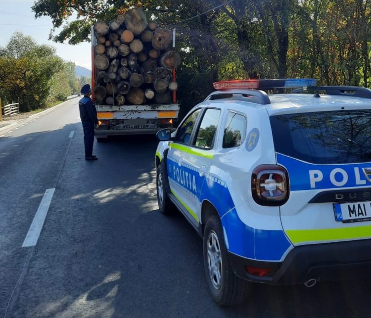 Poliţiştii maramureşeni intensifică activităţile de prevenire şi combatere a infracţiunilor la regimul silvic