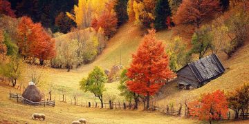 Toamna maramureșeană în fotografii