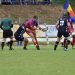 Baia Mare-Steaua, finala Superligii de rugby, în weekend la TVR