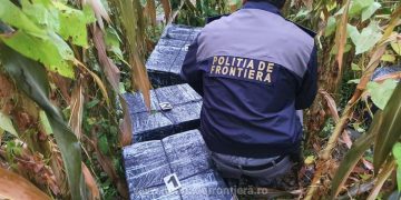 De frica poliţiştilor de frontieră şi-au abandonat maşina plină cu ţigări într-un lan de porumb la Bocicoiu Mare. Contrabandist reţinut la Vadu Izei