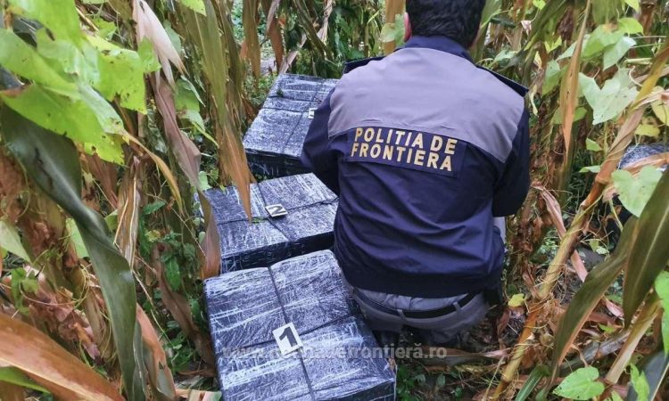 De frica poliţiştilor de frontieră şi-au abandonat maşina plină cu ţigări într-un lan de porumb la Bocicoiu Mare. Contrabandist reţinut la Vadu Izei