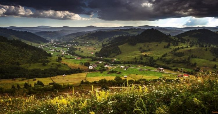 Românul care a creat un sistem inteligent de monitorizare a aerului