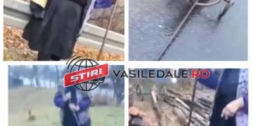 Bătrinică din Petrova: Trage după ea bușteni pentru a se încălzi