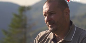 A alunecat și a căzut în ranga atacatorului!!! Direcția Silvică Maramureș face tot posibilul să scoată victima vinovată!