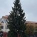Vine Crăciunul în Baia Mare. Bradul a fost montat