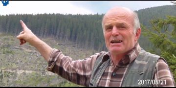 Bărbat din Maramureş, arestat după ce a înjurat şi ameninţat un judecător prin fax