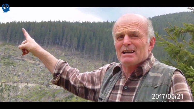 Bărbat din Maramureş, arestat după ce a înjurat şi ameninţat un judecător prin fax