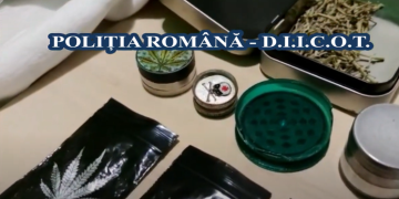 DESCINDERI la traficanţi de droguri de mare risc. Cinci băimăreni duşi la audieri – video