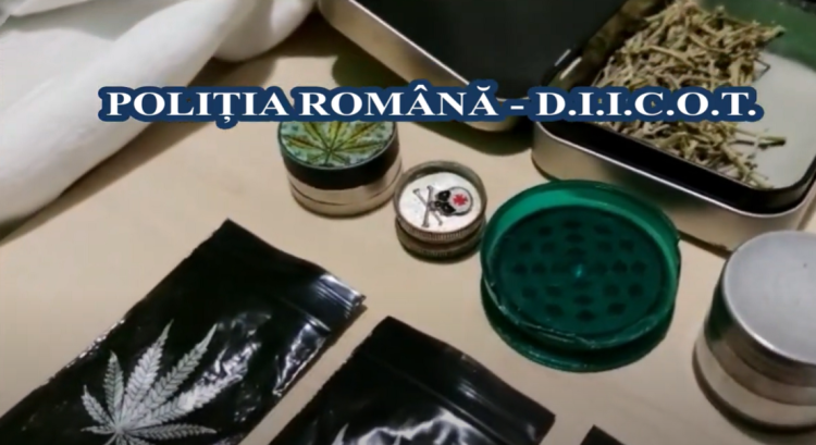 DESCINDERI la traficanţi de droguri de mare risc. Cinci băimăreni duşi la audieri – video
