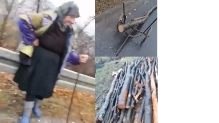 Un polițist a fost înger sub acoperire: Cum a ajutat-o pe bătrânica din Petrova care trage după ea bușteni ca să aibă lemne de iarnă. VIDEO