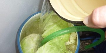 TNR: Un român a luat acasă furtunul de oxigen din spital, ca să sufle cu el în varză