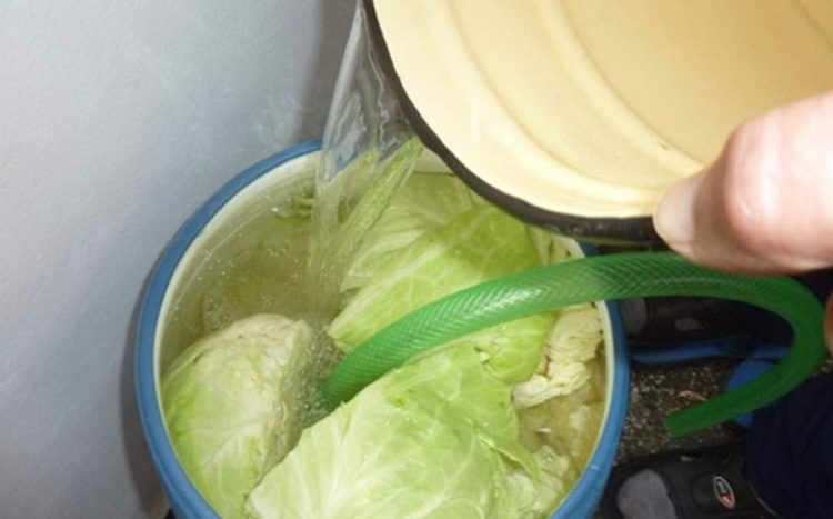 TNR: Un român a luat acasă furtunul de oxigen din spital, ca să sufle cu el în varză