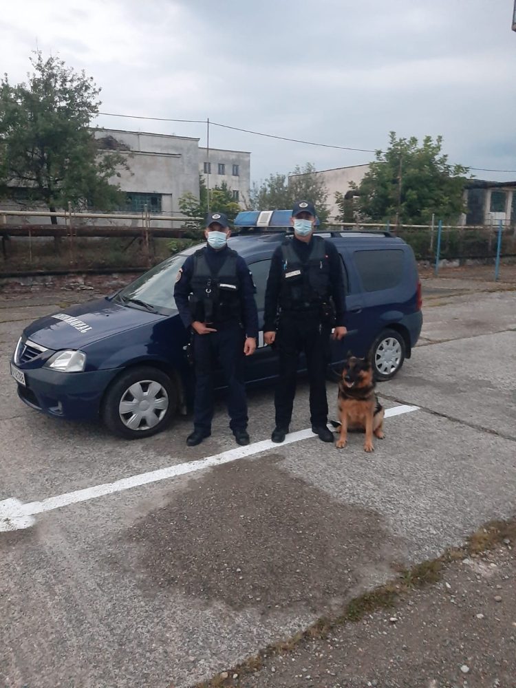 A furat dintr-un supermarket şi a plecat cu coş cu tot. A fost surprins pe stradă de jandarmii băimăreni