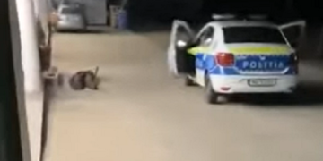 Un om bolnav, bătut și batjocorit de un polițist în faţa unui supermarket – video