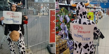 Protest inedit la Satu Mare împotriva gardurilor metalice montate la Kaufland. O tânără s-a costumat în vacă