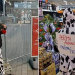 Protest inedit la Satu Mare împotriva gardurilor metalice montate la Kaufland. O tânără s-a costumat în vacă
