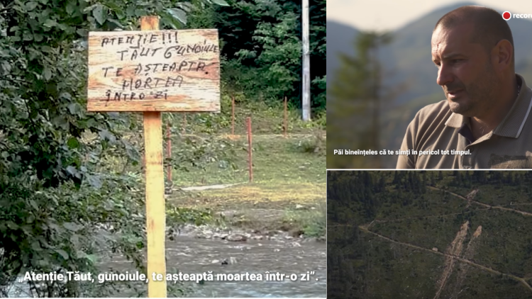 INVESTIGAŢIE RECORDER (VIDEO): INGINER SILVIC BĂTUT ŞI AMENINŢAT CĂ ÎL VOR OMORÎ RACHEŢII UCRAINENI LA POIENILE DE SUB MUNTE