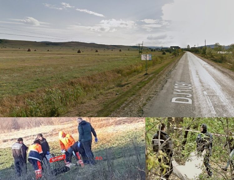Descoperire macabră la ROGOZ. Cadavrul unui bărbat a fost găsit în câmp. ACTUALIZARE