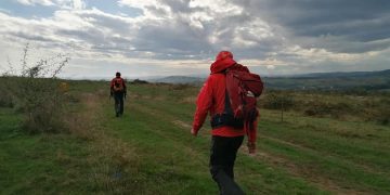 Bărbat strivit de cai şi de căruţa plină de lemne în zona Şugău. Intervin salvamontiştii