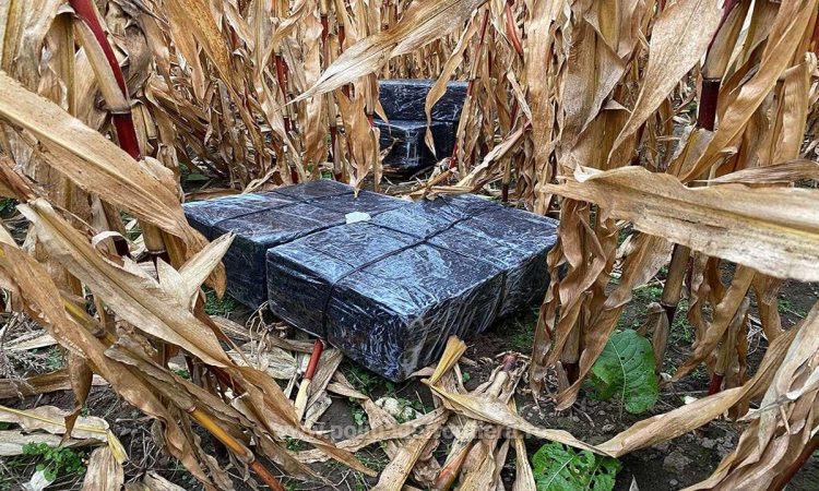 Peste 18.000 de pachete cu țigări de contrabandă, confiscate la frontieră. O parte a fost trecută din Ucraina în România cu ajutorul unei drone