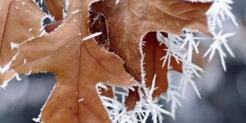 Prognoza meteo pentru următoarele două săptămâni