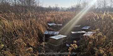Focuri de armă şi peste 33.000 pachete țigări confiscate la frontiera de nord