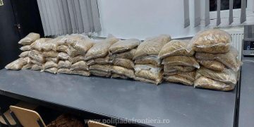 Poliţiştii de frontieră au găsit aproape 25 kg de tutun în bagajele unor sătmăreni